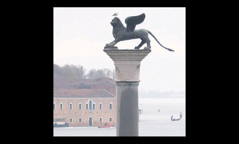 San Marco Aslanı Çinli çıktı 1 san marco aslani cinli cikti GnINwaA2