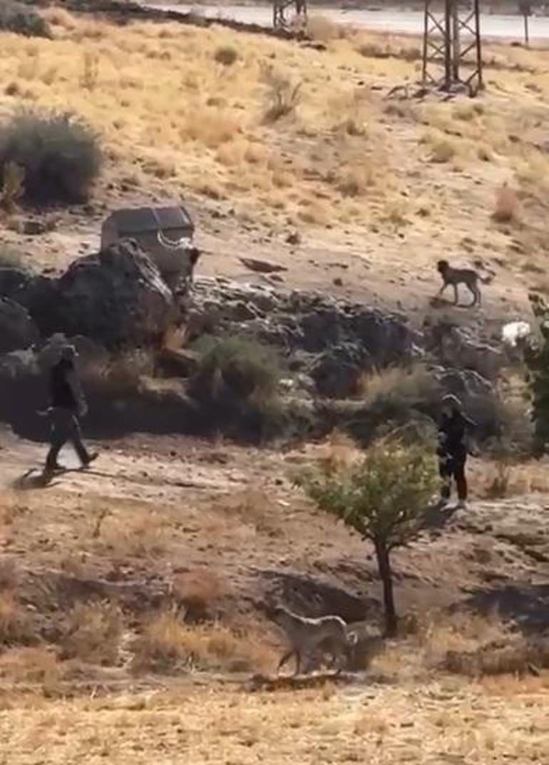 sivasta vicdanlari sizlatan goruntu valilikten aciklama geldi 0 kFMgAq7s