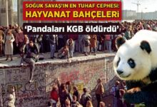 soguk savasin en tuhaf cephesi hayvanat bahceleri pandalari kgb oldurdu 2u25ql6h