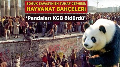 soguk savasin en tuhaf cephesi hayvanat bahceleri pandalari kgb oldurdu 2u25ql6h