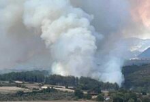 son dakika osmaniyede orman yangini mudahale basladi HZ9lgY8V