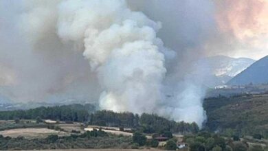 son dakika osmaniyede orman yangini mudahale basladi HZ9lgY8V