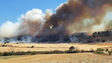 son dakika uc vilayette orman yangini alevlerle caba suruyor 7NyZTCaA