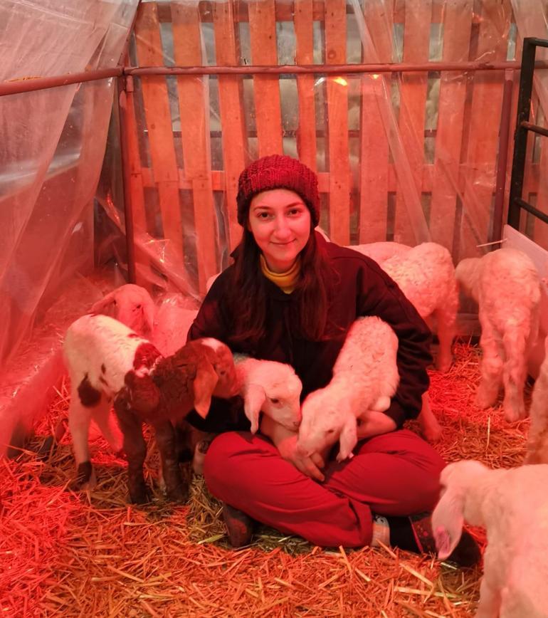 'Sütü kokar’ dediler, Merinos sürüsüyle talebe yetişemiyor! 2 yılda her şey değişti 3 sutu kokar dediler merinos surusuyle talebe yetisemiyor 2 yilda her sey degisti 1 5aRfqPnq