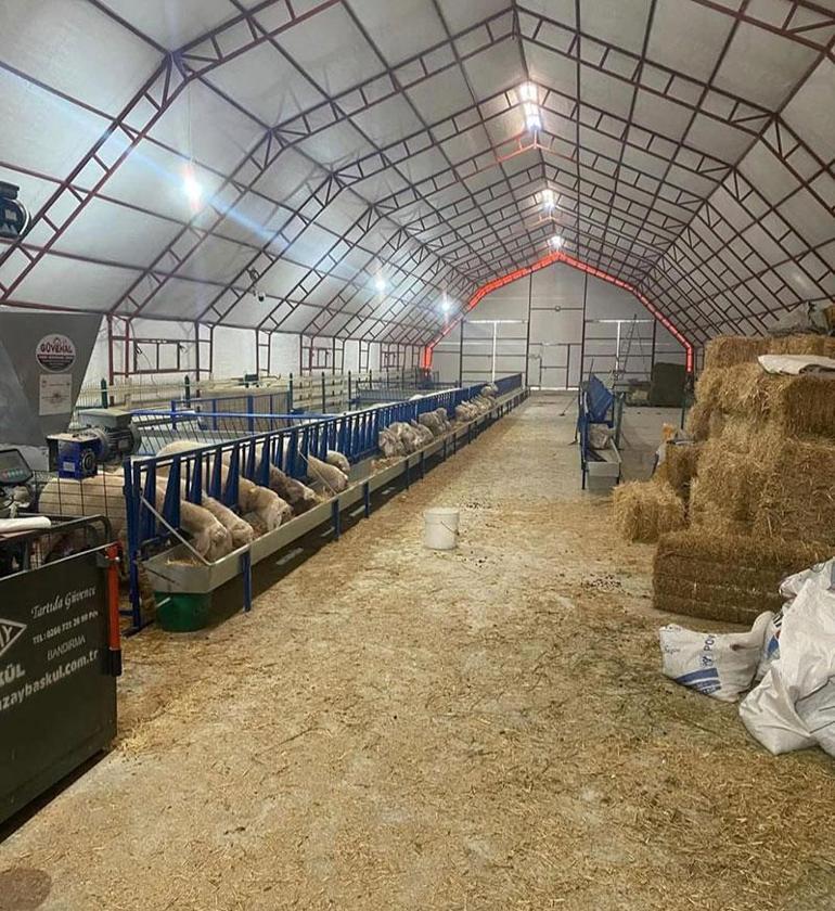 'Sütü kokar’ dediler, Merinos sürüsüyle talebe yetişemiyor! 2 yılda her şey değişti 4 sutu kokar dediler merinos surusuyle talebe yetisemiyor 2 yilda her sey degisti 2 PdLcBSuA