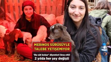 'Sütü kokar’ dediler, Merinos sürüsüyle talebe yetişemiyor! 2 yılda her şey değişti 5 sutu kokar dediler merinos surusuyle talebe yetisemiyor 2 yilda her sey degisti DUzf9Mdn