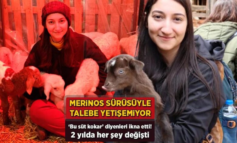 'Sütü kokar’ dediler, Merinos sürüsüyle talebe yetişemiyor! 2 yılda her şey değişti 1 sutu kokar dediler merinos surusuyle talebe yetisemiyor 2 yilda her sey degisti DUzf9Mdn