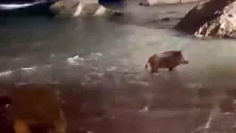 tatil beldesinde sok manzara goren telefona sarildi 0 AOXzUmsv