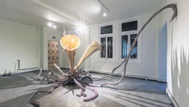uc ayakli kedi otekilerin bienali MYWKZlzr