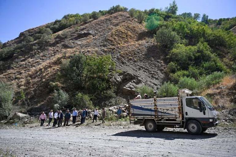 Uçurumdan atlayan bir koyunu 333 koyun takip etti! Çobanlar durduramadı 3 ucurumdan atlayan bir koyunu 333 koyun takip etti cobanlar durduramadi 1