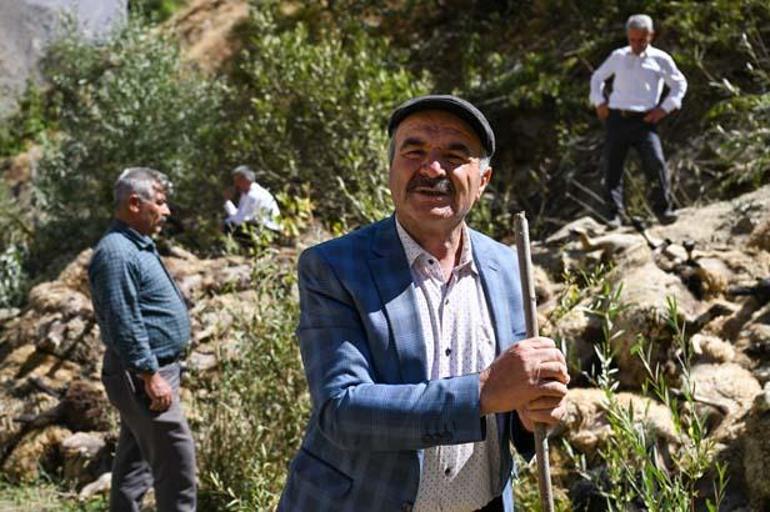 Uçurumdan atlayan bir koyunu 333 koyun takip etti! Çobanlar durduramadı 5 ucurumdan atlayan bir koyunu 333 koyun takip etti cobanlar durduramadi 3 ZsezRhmN