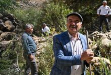 ucurumdan atlayan bir koyunu 333 koyun takip etti cobanlar durduramadi BLBifROl