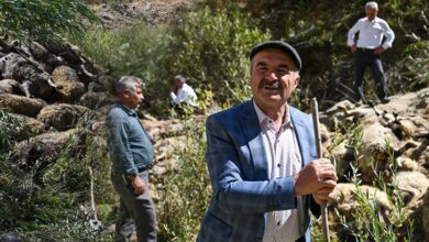 ucurumdan atlayan bir koyunu 333 koyun takip etti cobanlar durduramadi BLBifROl